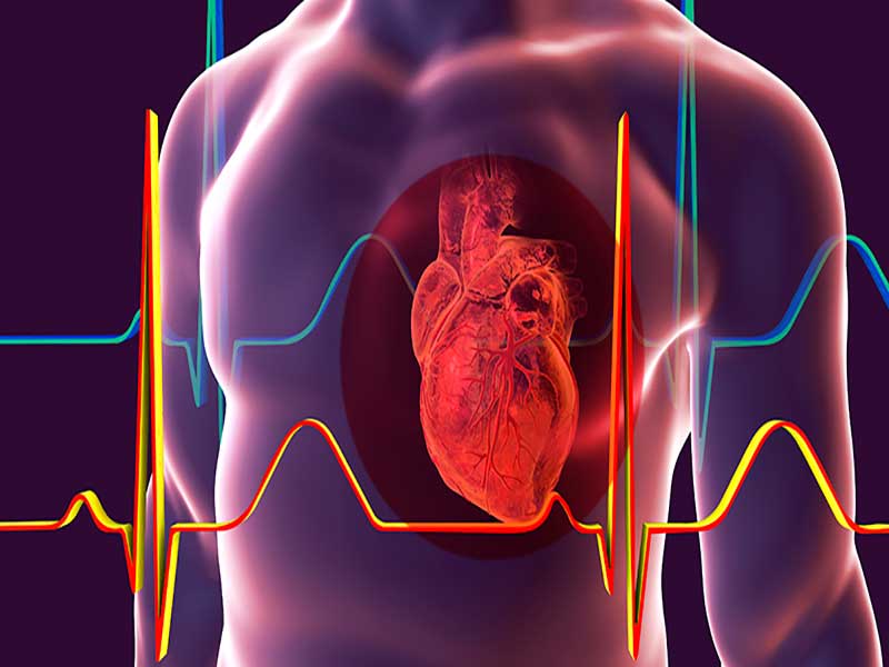 آیا نارسایی قلبی قابل درمان است؟